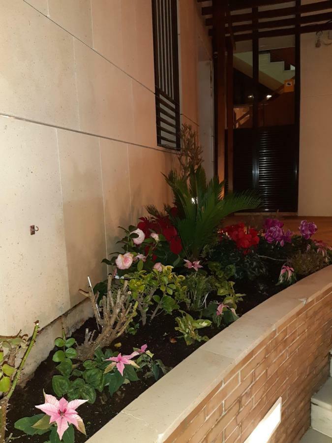 Apartamento Berenguela Cordoue Extérieur photo